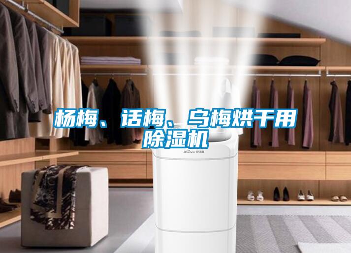 楊梅、話梅、烏梅烘干用除濕機(jī)