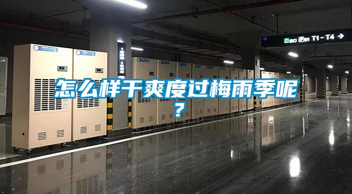 怎么樣干爽度過梅雨季呢？