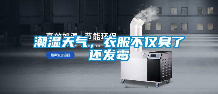 潮濕天氣，衣服不僅臭了還發(fā)霉