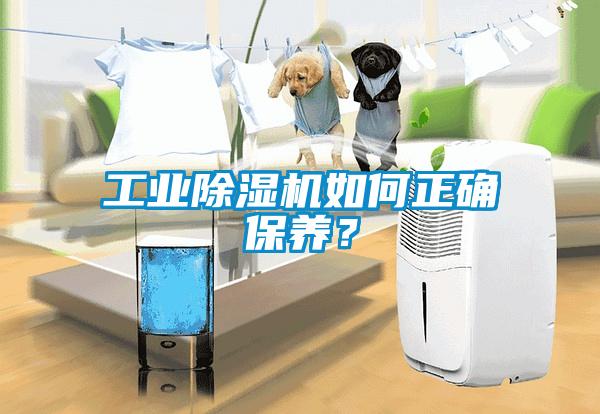 工業(yè)除濕機(jī)如何正確保養(yǎng)？