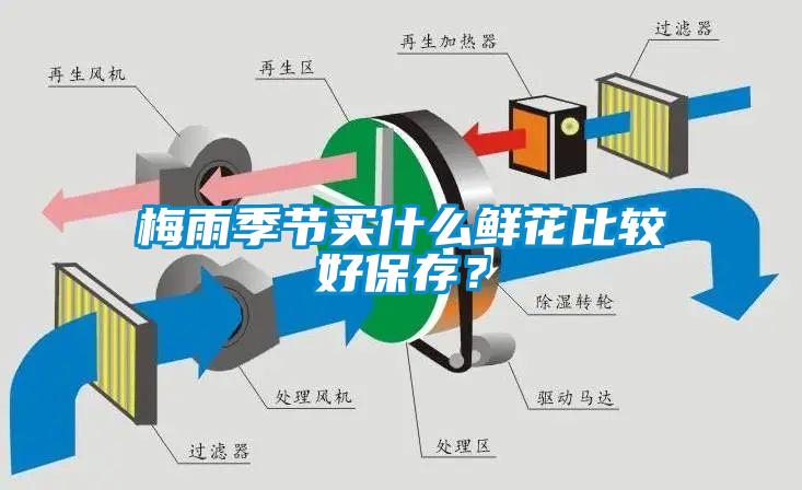 梅雨季節(jié)買什么鮮花比較好保存？