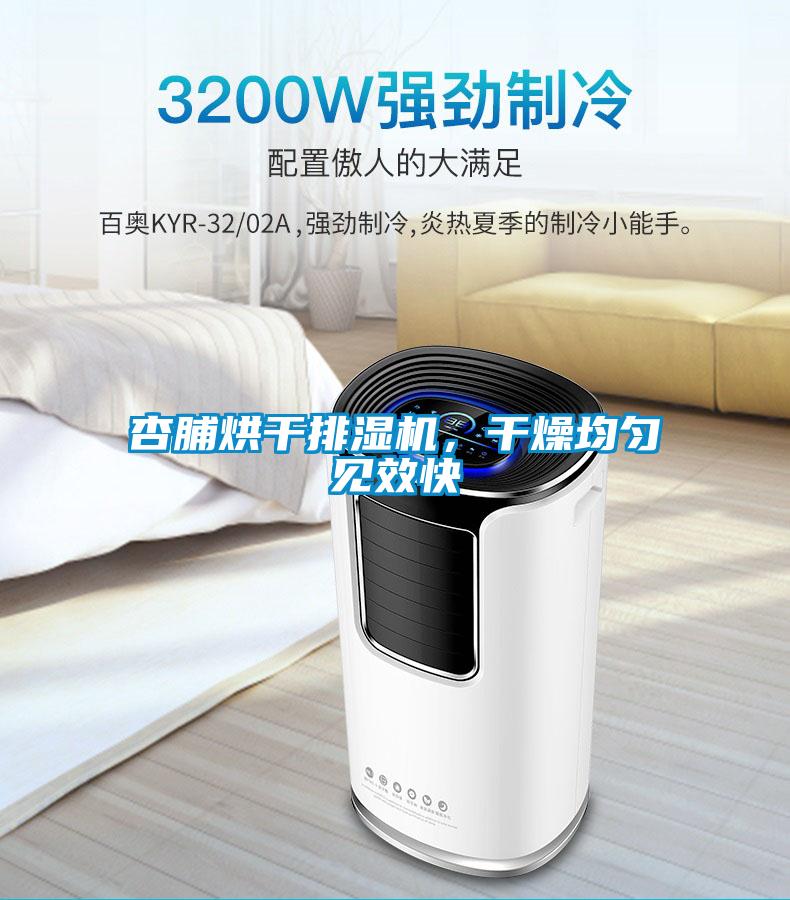杏脯烘干排濕機(jī)，干燥均勻見效快