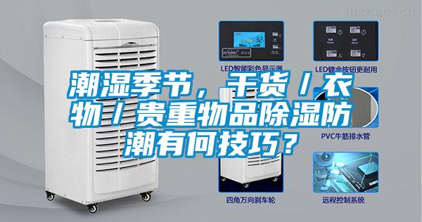 潮濕季節(jié)，干貨／衣物／貴重物品除濕防潮有何技巧？