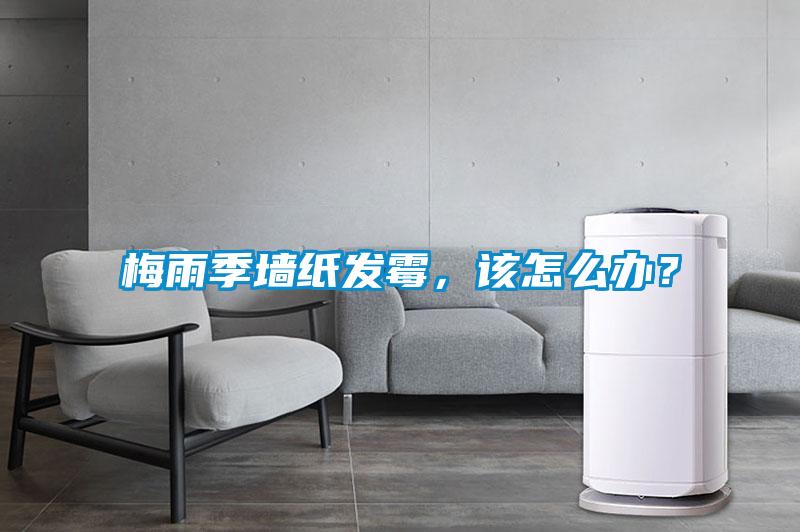 梅雨季墻紙發(fā)霉，該怎么辦？