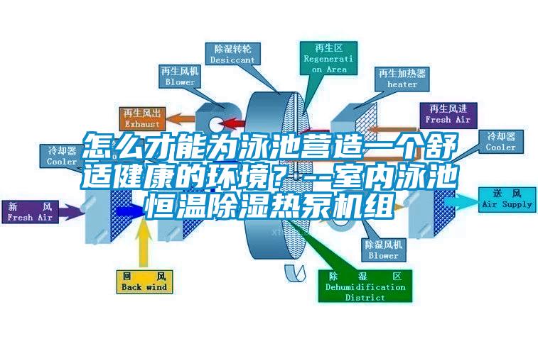 怎么才能為泳池營造一個舒適健康的環(huán)境？--室內(nèi)泳池恒溫除濕熱泵機(jī)組