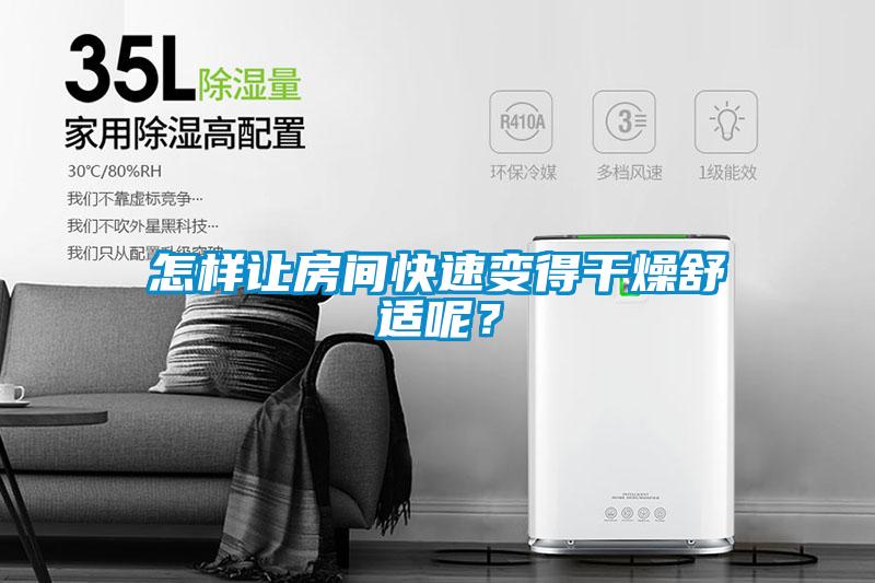 怎樣讓房間快速變得干燥舒適呢？