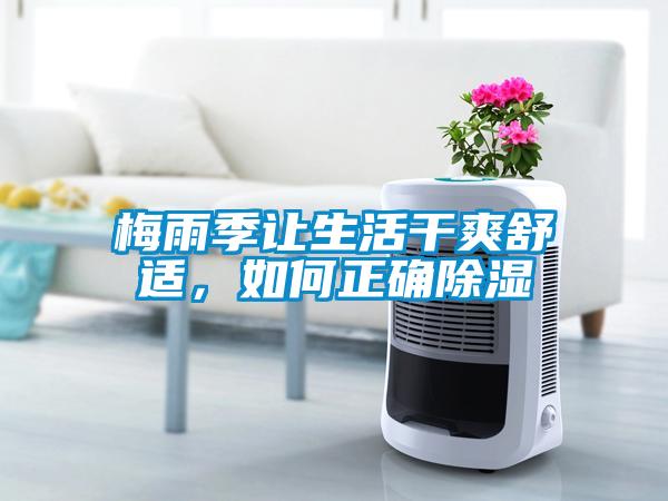 梅雨季讓生活干爽舒適，如何正確除濕