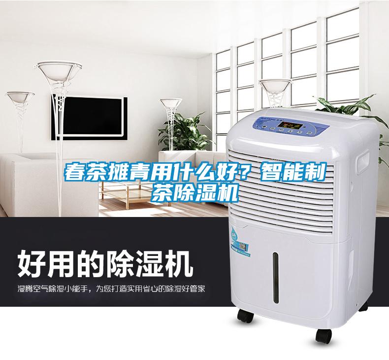 春茶攤青用什么好？智能制茶除濕機(jī)