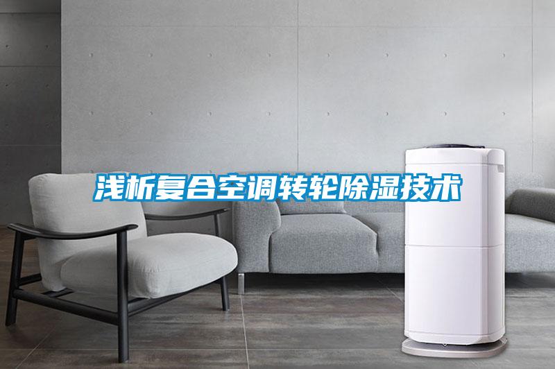 淺析復合空調(diào)轉(zhuǎn)輪除濕技術(shù)