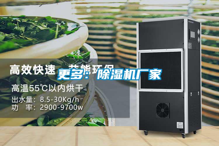 更多：除濕機(jī)廠(chǎng)家