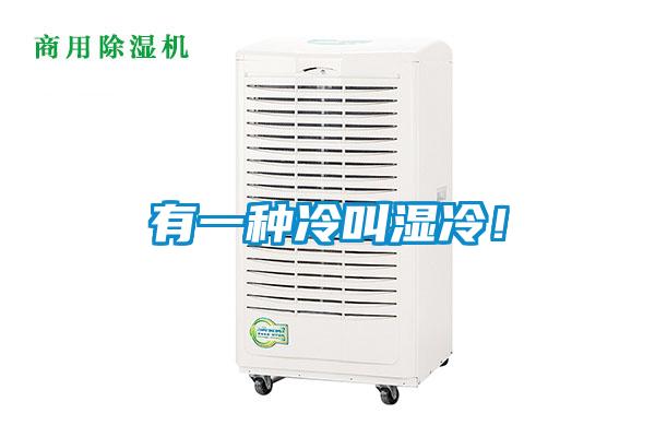 有一種冷叫濕冷！