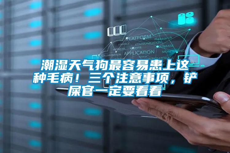 潮濕天氣狗最容易患上這種毛?。∪齻€注意事項，鏟屎官一定要看看