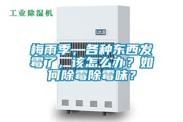 梅雨季，各種東西發(fā)霉了，該怎么辦？如何除霉除霉味？