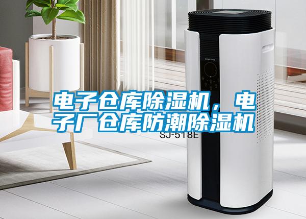電子倉(cāng)庫(kù)除濕機(jī)，電子廠倉(cāng)庫(kù)防潮除濕機(jī)