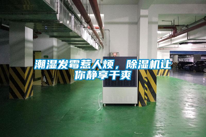潮濕發(fā)霉惹人煩，除濕機(jī)讓你靜享干爽