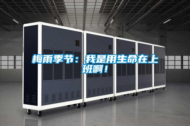 梅雨季節(jié)：我是用生命在上班??！