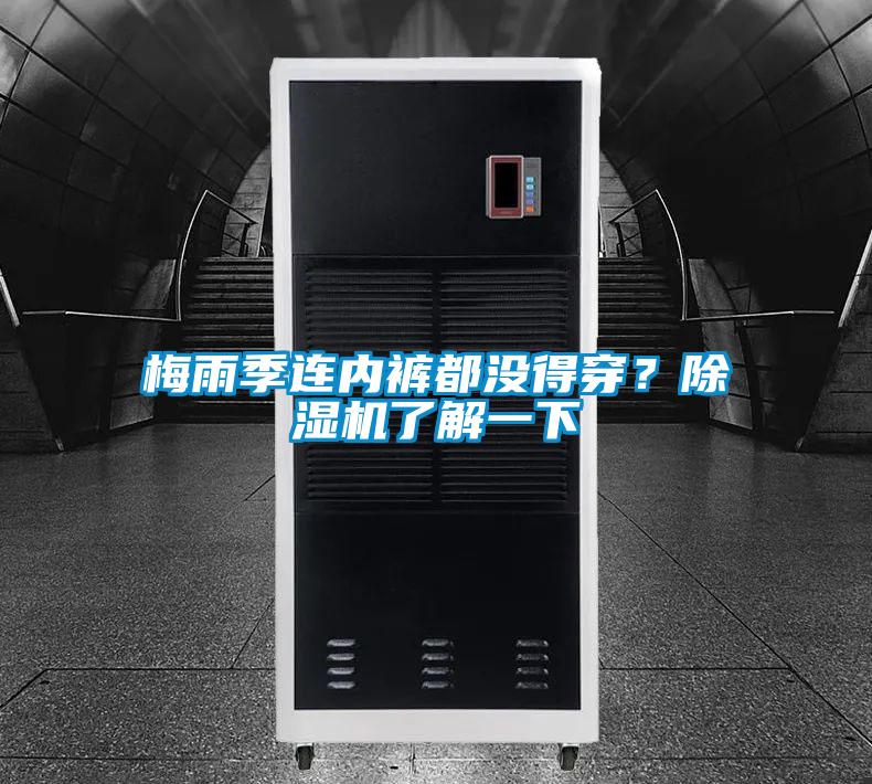 梅雨季連內(nèi)褲都沒得穿？除濕機(jī)了解一下