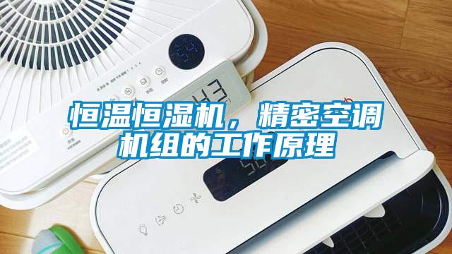 恒溫恒濕機(jī)，精密空調(diào)機(jī)組的工作原理