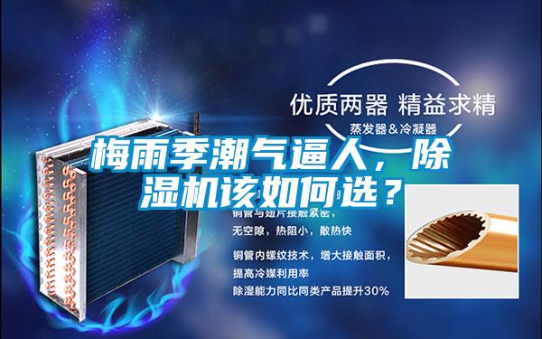 梅雨季潮氣逼人，除濕機(jī)該如何選？