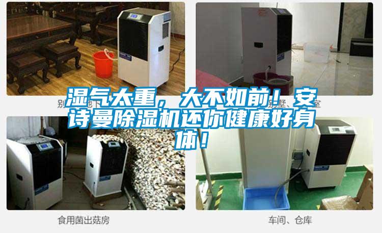 濕氣太重，大不如前！安詩曼除濕機還你健康好身體！