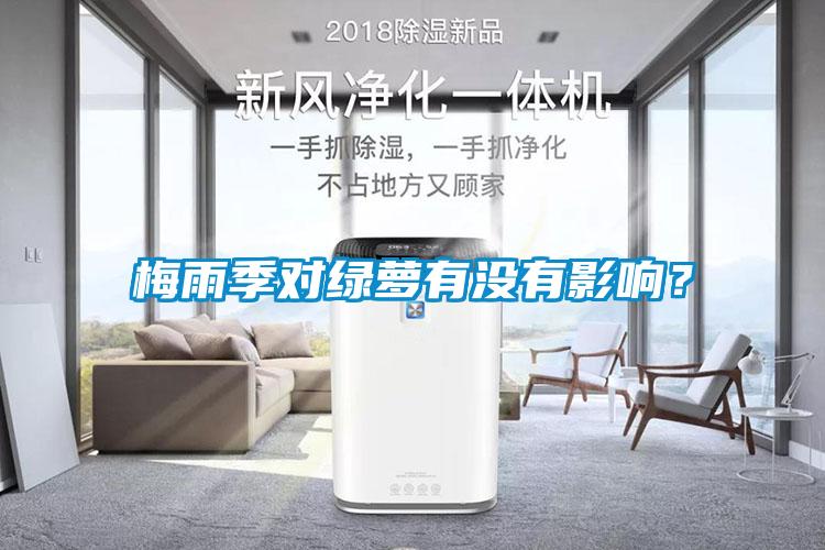 梅雨季對(duì)綠蘿有沒有影響？