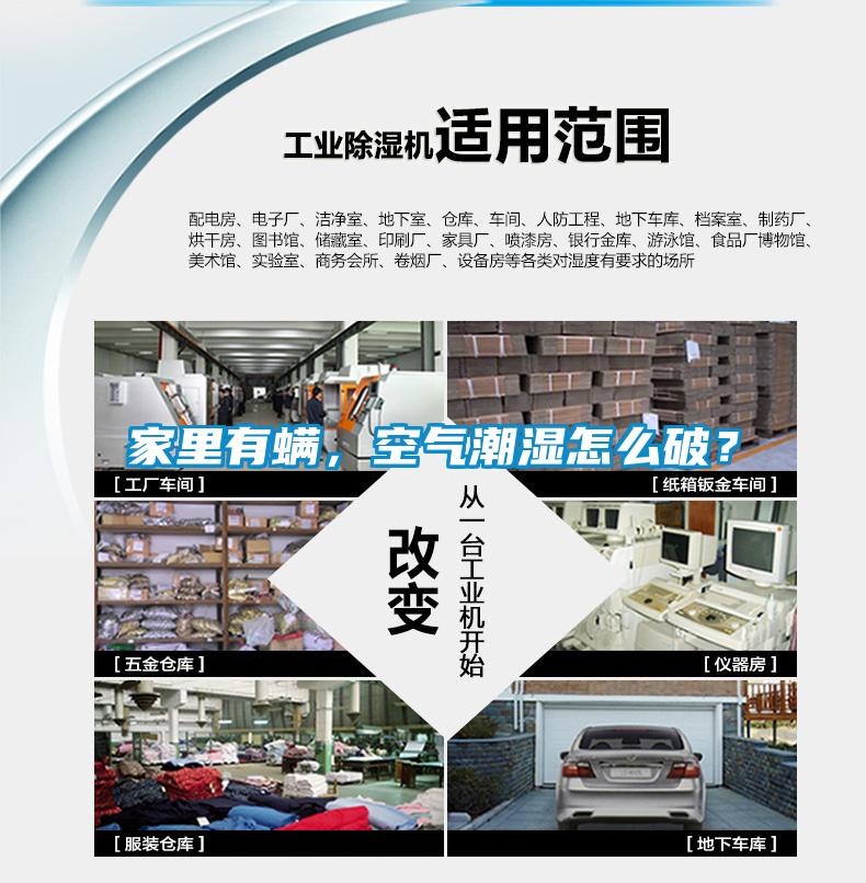 家里有螨，空氣潮濕怎么破？