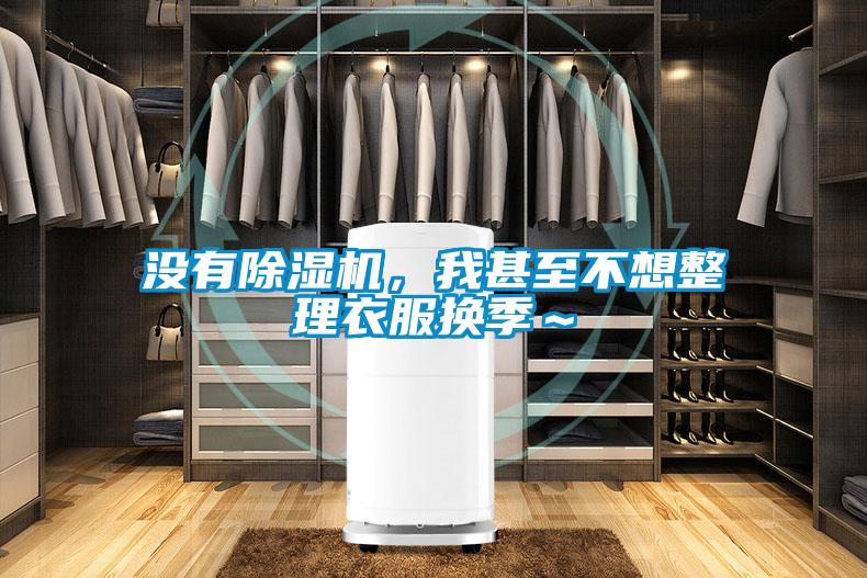 沒有除濕機，我甚至不想整理衣服換季～