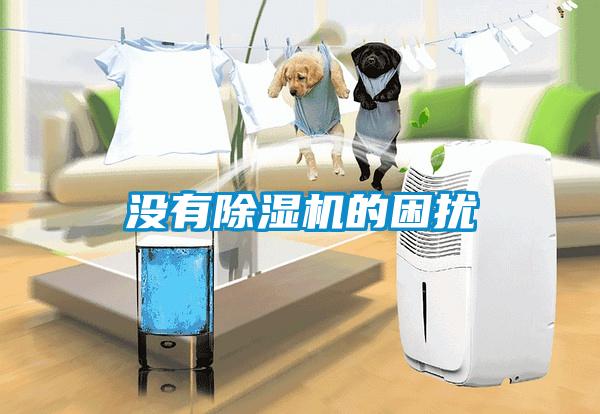 沒(méi)有除濕機(jī)的困擾