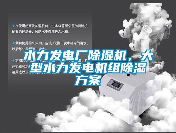水力發(fā)電廠除濕機(jī)，大型水力發(fā)電機(jī)組除濕方案