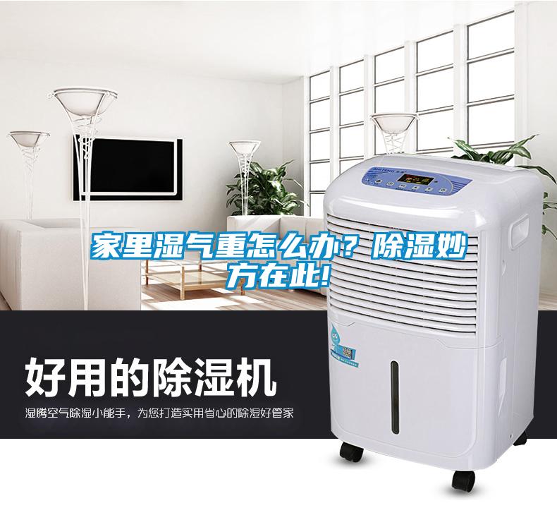 家里濕氣重怎么辦？除濕妙方在此!