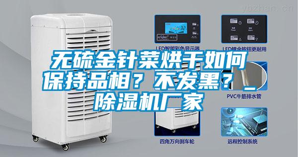 無硫金針菜烘干如何保持品相？不發(fā)黑？_除濕機(jī)廠家
