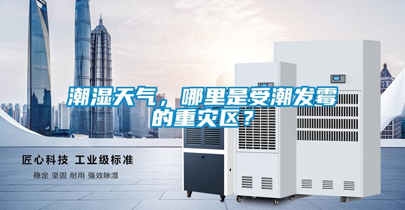 潮濕天氣，哪里是受潮發(fā)霉的重災(zāi)區(qū)？