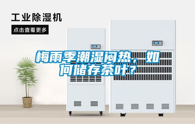 梅雨季潮濕悶熱，如何儲(chǔ)存茶葉？