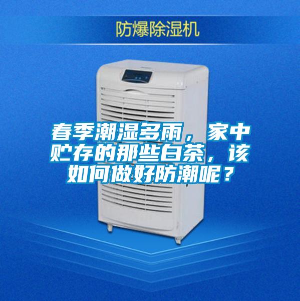 春季潮濕多雨，家中貯存的那些白茶，該如何做好防潮呢？