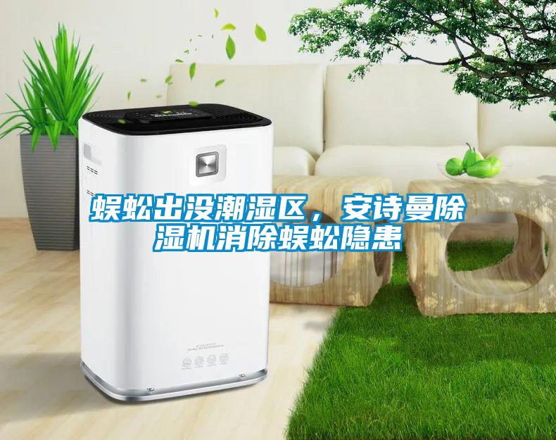 蜈蚣出沒潮濕區(qū)，安詩曼除濕機消除蜈蚣隱患