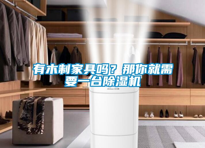 有木制家具嗎？那你就需要一臺除濕機(jī)