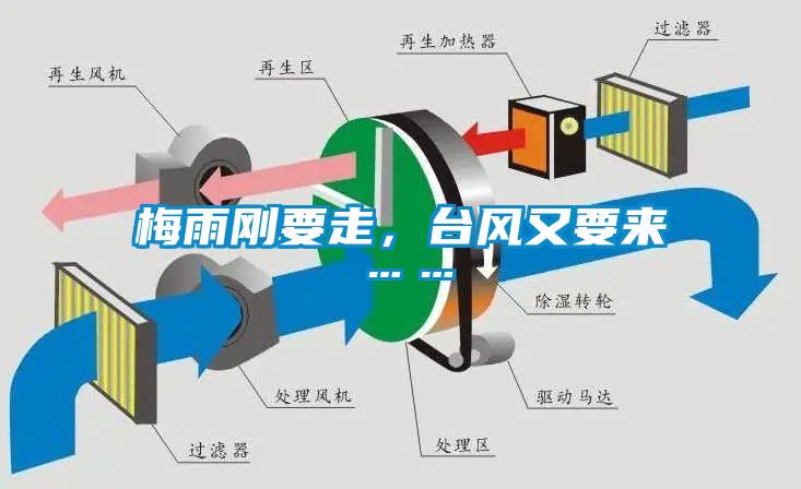 梅雨剛要走，臺(tái)風(fēng)又要來(lái)……