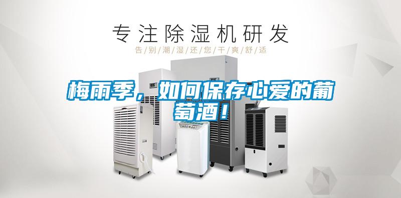 梅雨季，如何保存心愛的葡萄酒！
