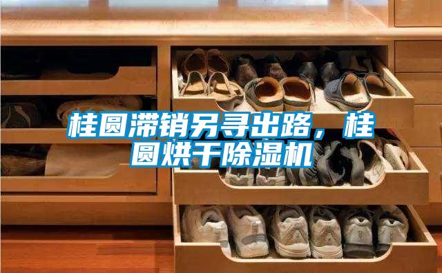 桂圓滯銷另尋出路，桂圓烘干除濕機(jī)