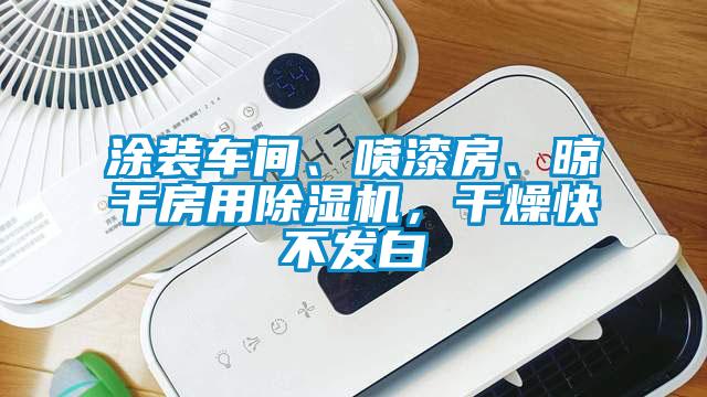涂裝車間、噴漆房、晾干房用除濕機(jī)，干燥快不發(fā)白