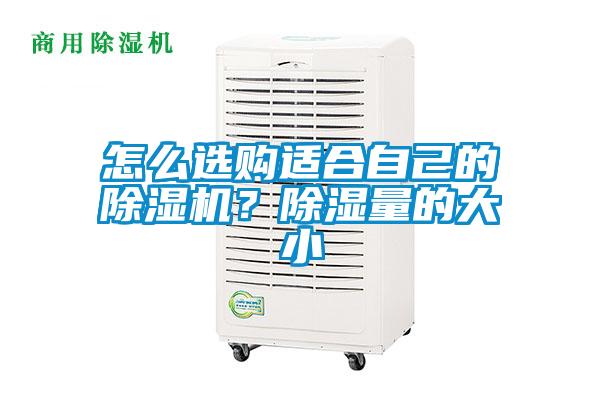 怎么選購適合自己的除濕機？除濕量的大小