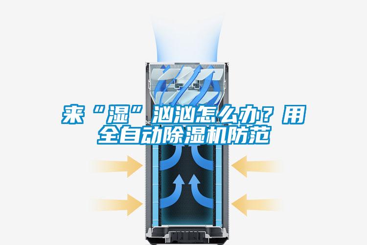 來“濕”洶洶怎么辦？用全自動除濕機防范