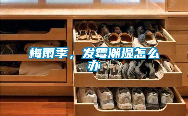 梅雨季，發(fā)霉潮濕怎么辦