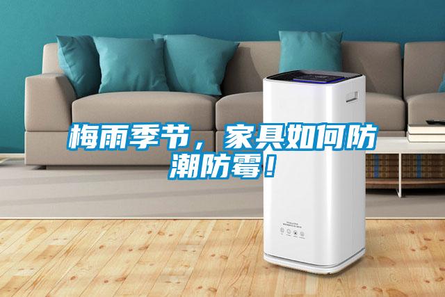梅雨季節(jié)，家具如何防潮防霉！