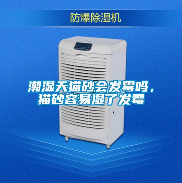 潮濕天貓砂會(huì)發(fā)霉嗎，貓砂容易濕了發(fā)霉