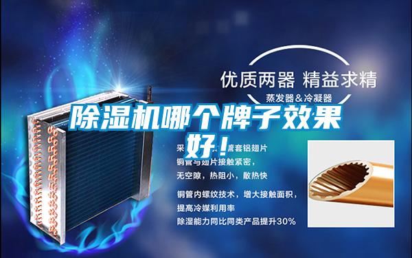 除濕機哪個牌子效果好！