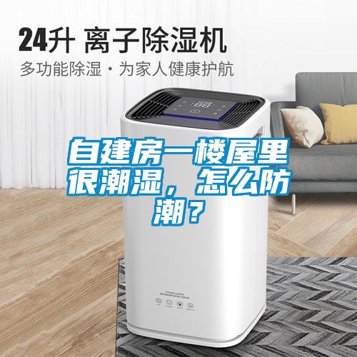 自建房一樓屋里很潮濕，怎么防潮？