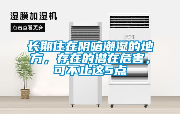 長期住在陰暗潮濕的地方，存在的潛在危害，可不止這5點