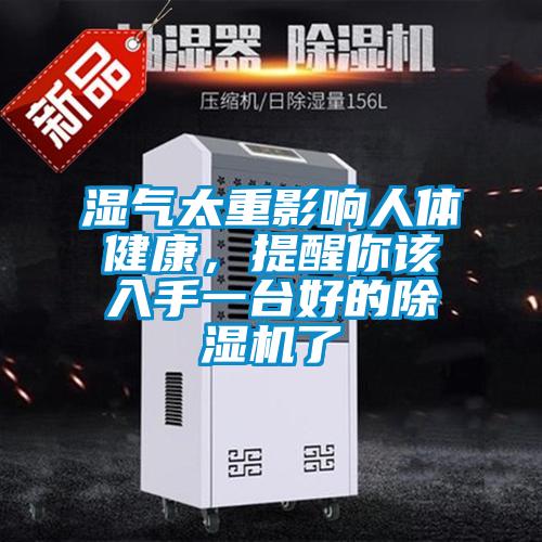 濕氣太重影響人體健康，提醒你該入手一臺好的除濕機了