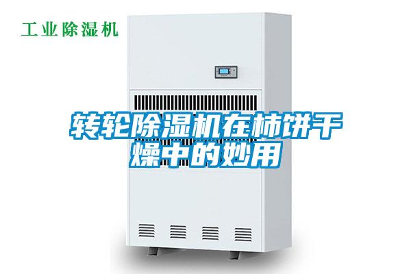 轉(zhuǎn)輪除濕機在柿餅干燥中的妙用